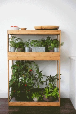 Bamboo Home LED Grow Light Garden -Outdoor Garden Store 8598088 BambooLEDHomeGarden light gif