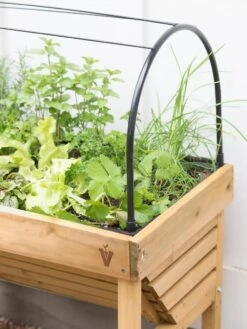 VegTrug® Mini Wallhugger Planter With Cover -Outdoor Garden Store 8598339 4004 tif
