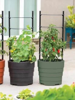 Gardener’s Victory Self-Watering Planter With Support System -Outdoor Garden Store 8598384 06013 tif