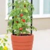 Gardener’s Victory Self-Watering Planter With Support System -Outdoor Garden Store 8598384 6012 tif