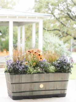 VegTrug™ Trough Planters 16 VegTrug™ Trough Planters -Outdoor Garden Store 8598402 08880 tif