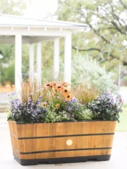 VegTrug™ Trough Planters 14 VegTrug™ Trough Planters -Outdoor Garden Store 8598402 8880 tif
