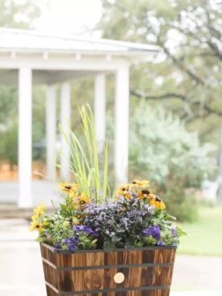 VegTrug™ Trough Planters 11 VegTrug™ Trough Planters -Outdoor Garden Store 8598403 008876 tif