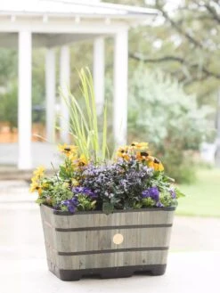 VegTrug™ Trough Planters 17 VegTrug™ Trough Planters -Outdoor Garden Store 8598403 08876 tif