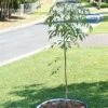 Tree Surround -Outdoor Garden Store 8598445 02V tif