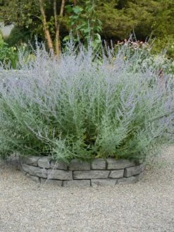 Rock Lock Interlocking Garden System, Curved Sets -Outdoor Garden Store 8598737 04V tif