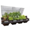 Vegepod Raised Garden Beds -Outdoor Garden Store 8598931 02V