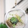 Floating Orb Terrarium Kit -Outdoor Garden Store 8599146 02v floating orb glass terrarium kit