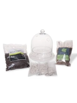 New Release 3 Cloche Terrarium Kit Medium