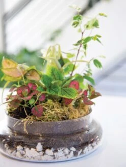 New Release -Outdoor Garden Store 8599150 03v