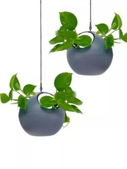 Exaco Euro Hanging Planters, Set Of 2 -Outdoor Garden Store 8599179 04V tif