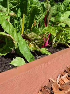 Straight Landscape Edging Kit With 2" Boards -Outdoor Garden Store 8599408 02V tif