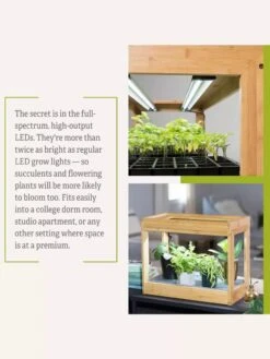 Bamboo Mini LED Grow Light Garden 20 Bamboo Mini LED Grow Light Garden -Outdoor Garden Store 8599624 06