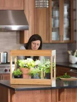 Bamboo Mini LED Grow Light Garden 15 Bamboo Mini LED Grow Light Garden -Outdoor Garden Store 8599624 12532 tif