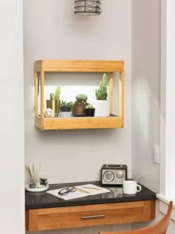 Bamboo Mini LED Grow Light Garden 14 Bamboo Mini LED Grow Light Garden -Outdoor Garden Store 8599624 12872 tif