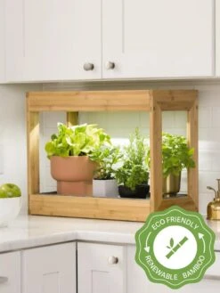 New Release 9 Bamboo Mini LED Grow Light Garden