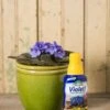 Espoma Violet! Plant Food -Outdoor Garden Store 8599781 18437 espoma violet plant food liquid fertilizer