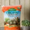 Espoma Cactus Potting Mix, 4 Quart 1 Espoma Cactus Potting Mix, 4 Quart -Outdoor Garden Store 8599789 18448 tif