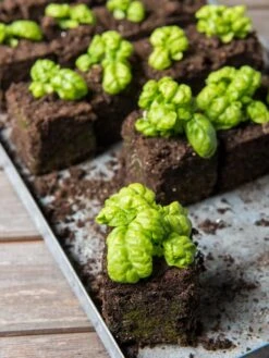 Soil Blocker, 4 Cell -Outdoor Garden Store 8599790 1057 tif