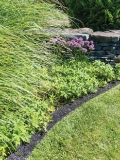 Recycled Rubber Mulch Edging, 12’ X 6” -Outdoor Garden Store 8599854 0897 tif