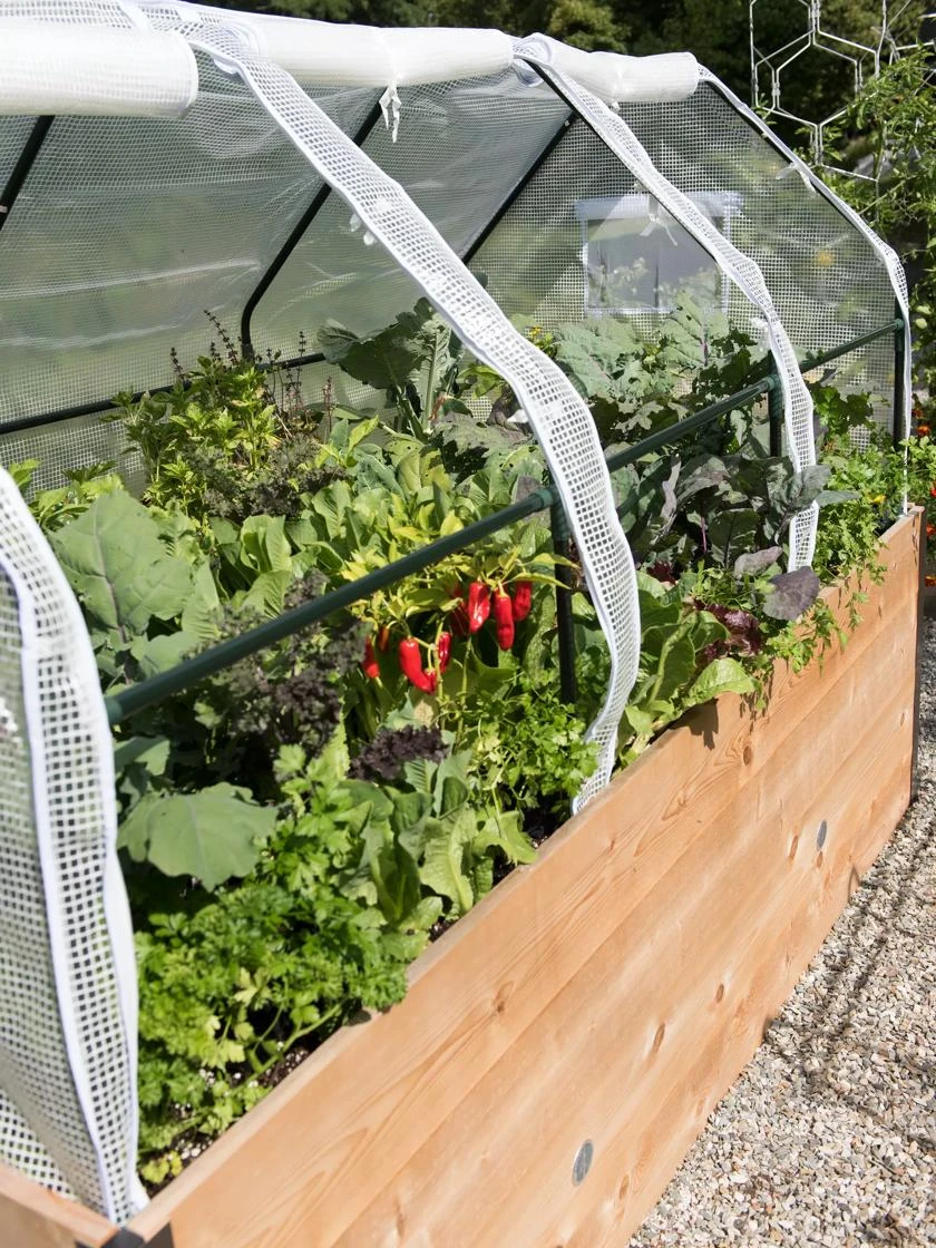 Elevated Raised Bed, 4' X 8' 4 Elevated Raised Bed, 4' X 8' - Image 2