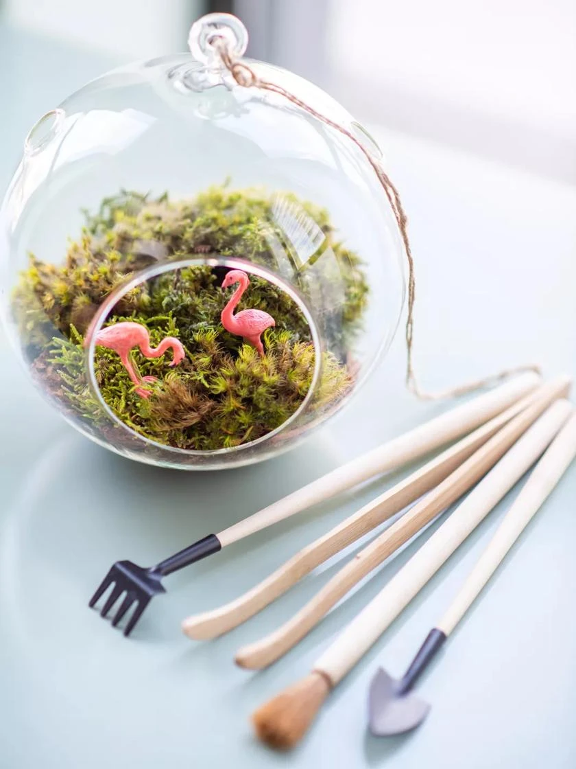 Terrarium Tools, Set Of 4 5 Terrarium Tools, Set Of 4 - Image 3