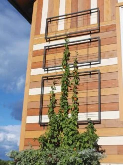 Exeter Wall Trellis -Outdoor Garden Store 8600049 7121 tif