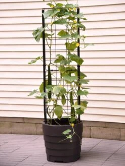 Gardener’s Victory Self-Watering Planter Garden With Vine Trellis -Outdoor Garden Store 8600177 9876 tif 1