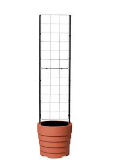 Gardener’s Victory Self-Watering Planter With Vine Trellis -Outdoor Garden Store 8600178 7000 tif