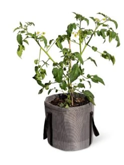 Reinforced Colorful Grow Bags -Outdoor Garden Store 8600229 0944 tif