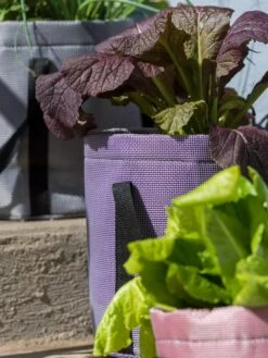 Reinforced Colorful Grow Bags -Outdoor Garden Store 8600230 20013 tif