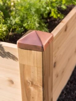 Copper Cap Raised Beds 11 Copper Cap Raised Beds -Outdoor Garden Store 8600496 0564 tif