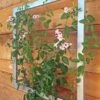 Ina Modern Wall Trellis Jr. 2 Ina Modern Wall Trellis Jr. -Outdoor Garden Store 8600512 07V tif