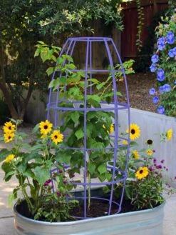 Toki Bubble Trellis 14 Toki Bubble Trellis -Outdoor Garden Store 8600520 02V tif