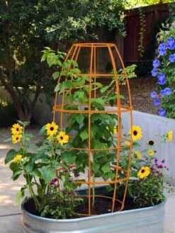 Toki Bubble Trellis 12 Toki Bubble Trellis -Outdoor Garden Store 8600520 03V tif