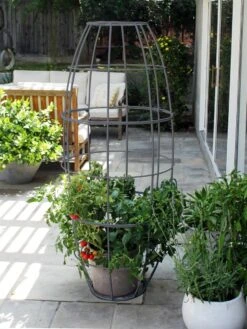 Toki Bubble Trellis 11 Toki Bubble Trellis -Outdoor Garden Store 8600520 07V jpg