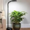 Agrobrite Floor LED Plant Lamp -Outdoor Garden Store 8608870 0308 tif