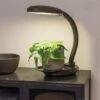 Agrobrite Desktop LED Plant Lamp -Outdoor Garden Store 8608871 0345 tif