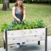 Self-Watering Eco-Stained Elevated Planter Box, 2' X 4' 1 Self-Watering Eco-Stained Elevated Planter Box, 2' X 4' -Outdoor Garden Store 8608961 5040 tif