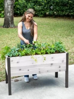 Self-Watering Eco-Stained Elevated Planter Box, 2' X 4'