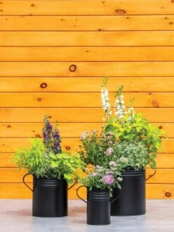 Metal Bucket Planters -Outdoor Garden Store 8609085 0460 tif