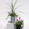 Metal Bucket Planters -Outdoor Garden Store 8609086 5623 tif