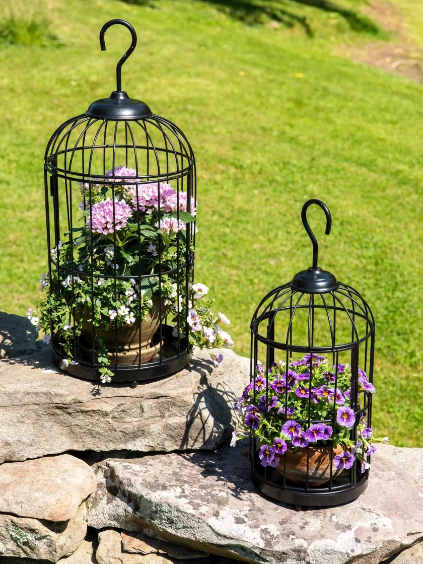 Hanging Birdcage Planter Set 6 Hanging Birdcage Planter Set - Image 4