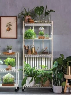 Oslo 4-Tier LED Grow Light Garden 19 Oslo 4-Tier LED Grow Light Garden -Outdoor Garden Store 8609188 4118 tif