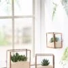 Copper And Glass Terrariums, Set Of 3 -Outdoor Garden Store 8609212 2964 tif