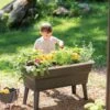 Calipso 3-in-1 Kids Gardening Self-Watering Planter Kit 1 Calipso 3-in-1 Kids Gardening Self-Watering Planter Kit -Outdoor Garden Store 8609217 0333 tif