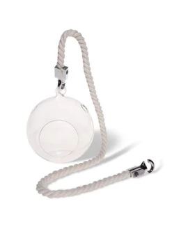 Mini Blown-Glass Hanging Terrarium, Set Of 2 11 Mini Blown-Glass Hanging Terrarium, Set Of 2 -Outdoor Garden Store 8609218 4734