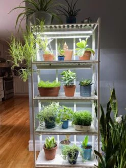 Oslo 4-Tier LED Grow Light Garden 23 Oslo 4-Tier LED Grow Light Garden -Outdoor Garden Store 8609220 03IN tif