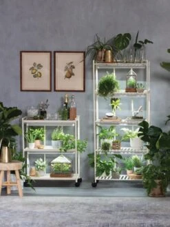 Oslo 2-Tier LED Grow Light Garden, 2 Fixtures 16 Oslo 2-Tier LED Grow Light Garden, 2 Fixtures -Outdoor Garden Store 8609220 4105 tif