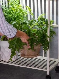 Oslo 2-Tier LED Grow Light Garden, 2 Fixtures 23 Oslo 2-Tier LED Grow Light Garden, 2 Fixtures -Outdoor Garden Store 8609220 4122 tif